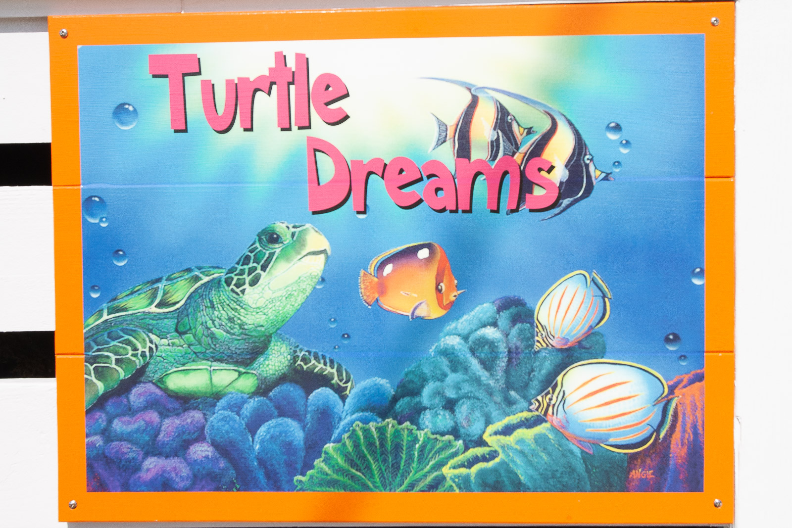 Turtle Dreams - Vacation Rental on Great Guana Cay